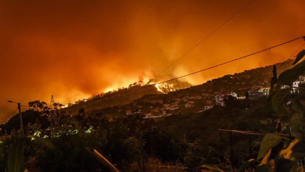 Wildfire in action during the evening.