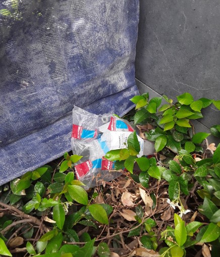 A plastic bag in a bush near the Australian Parliament House.