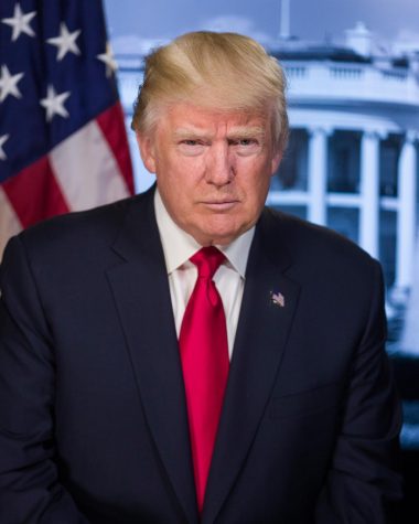Portrait of President Donald Trump.
