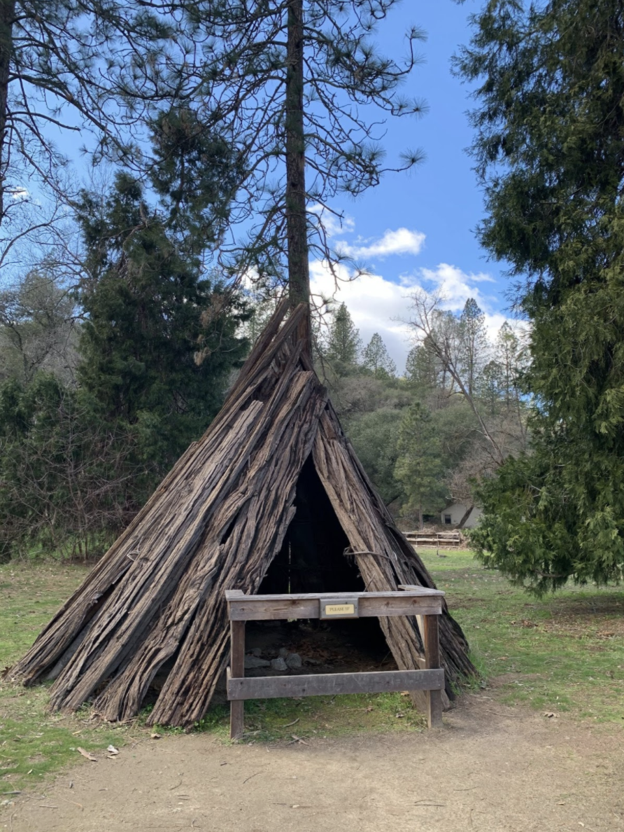 Native American Homes