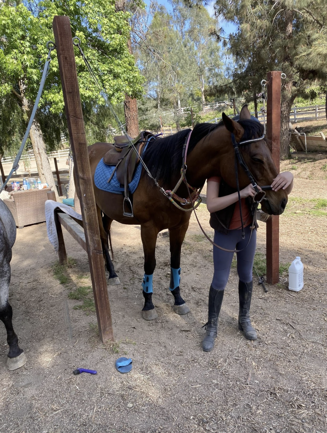 Kay Greenwood's Horseback Riding Ranch