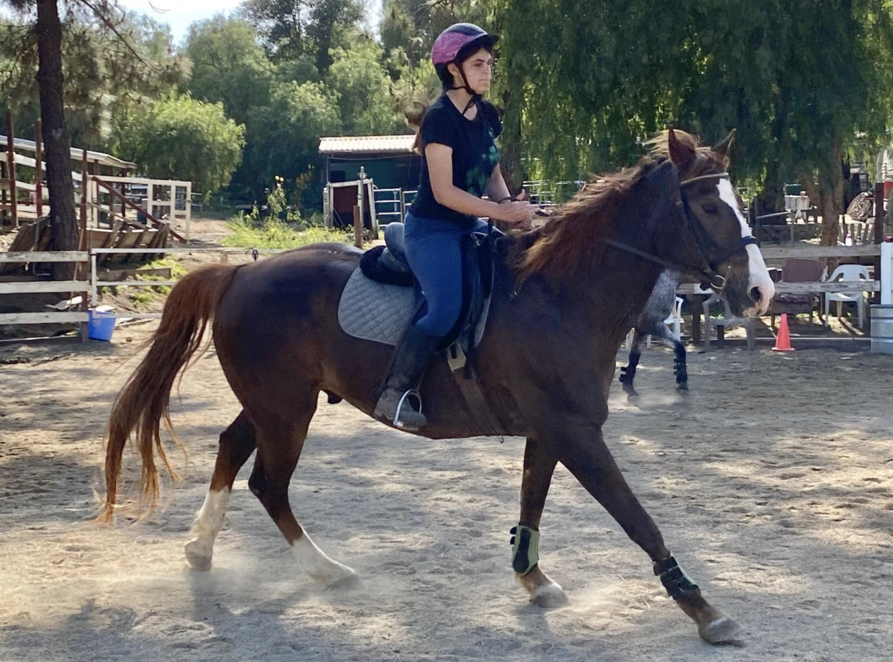 Kay Greenwood's Ranch