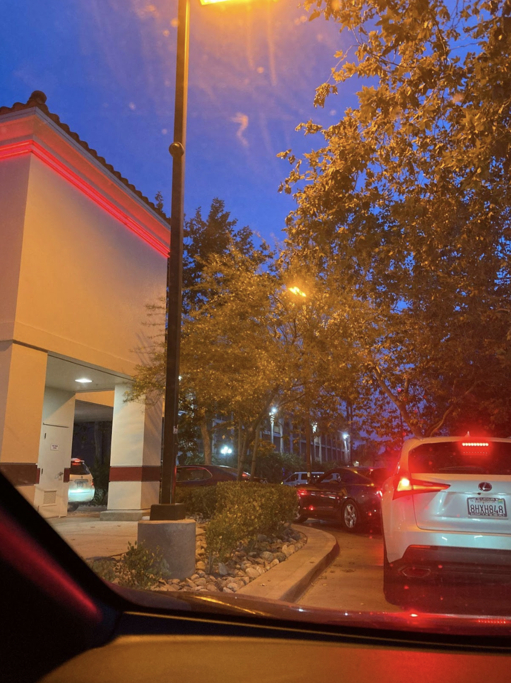 In-N-Out