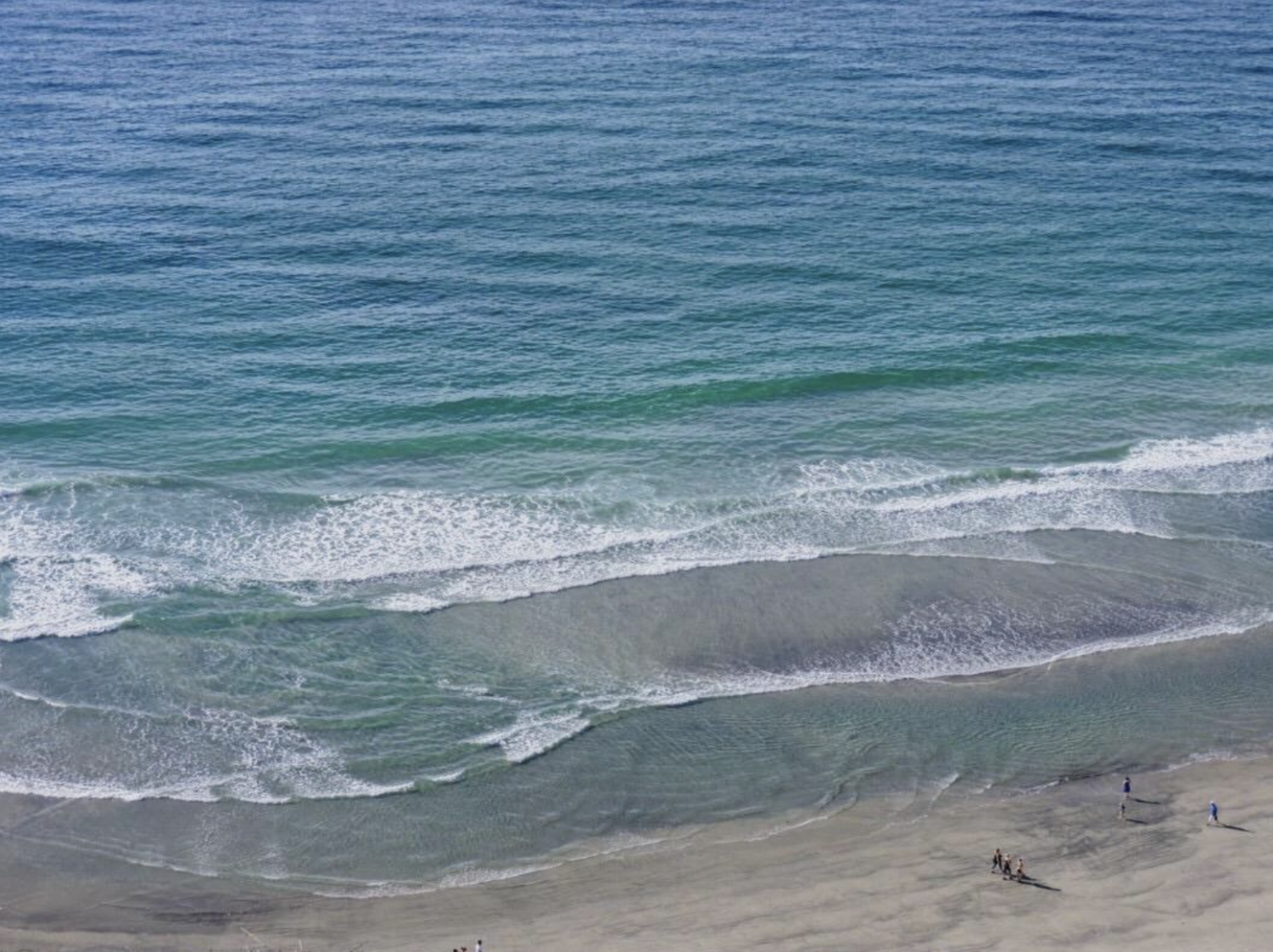 Torrey Pines State Reserve