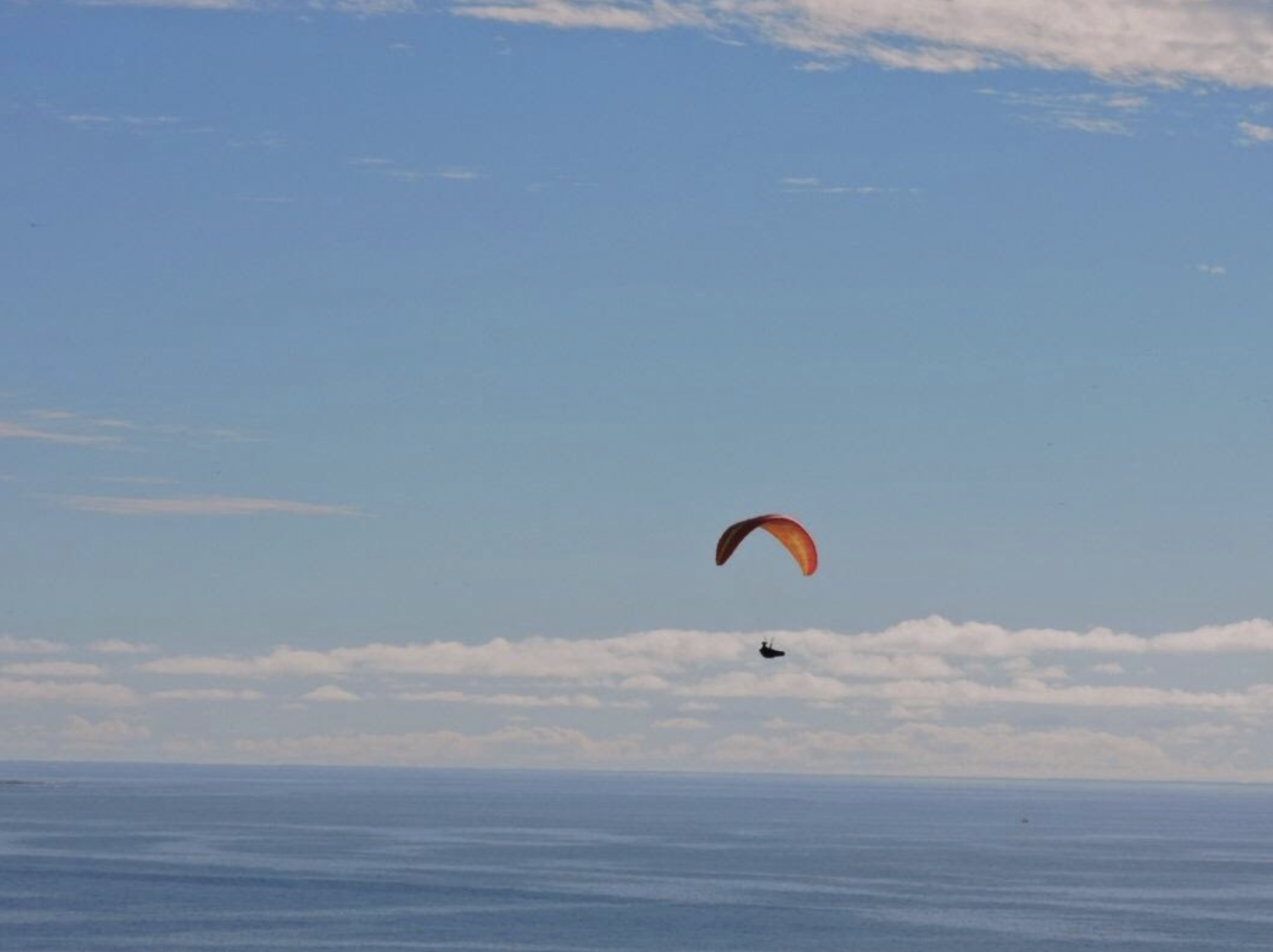 Torrey Pines State Reserve